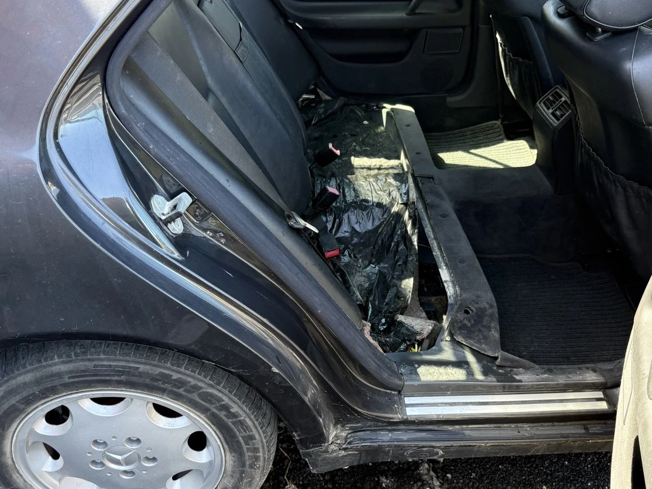 IMG_1751 – grande.jpeg