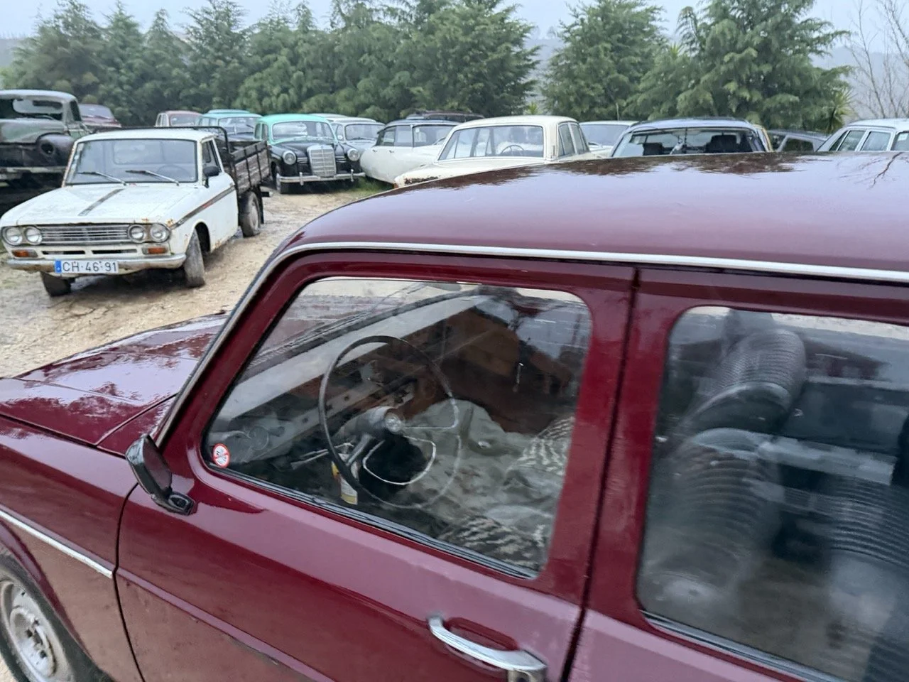 IMG_0284 – grande.jpeg