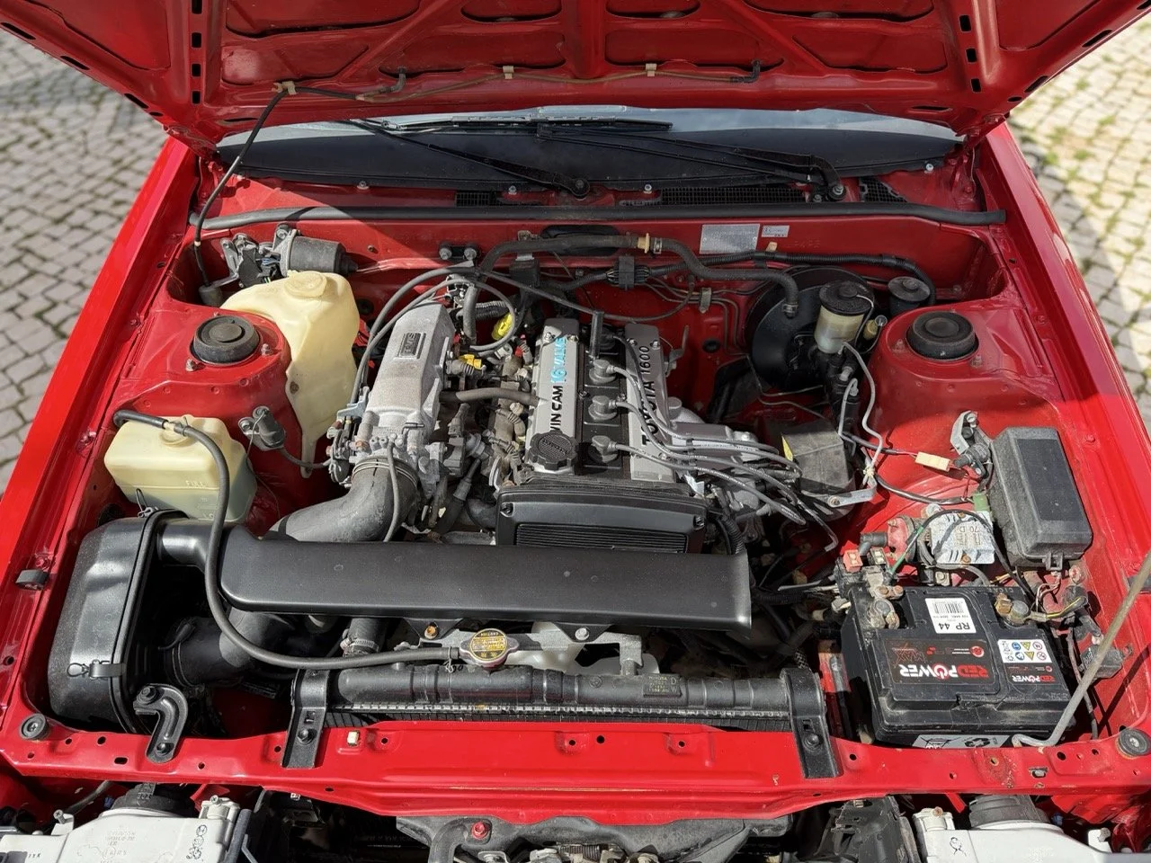 IMG_2345 – grande.jpeg