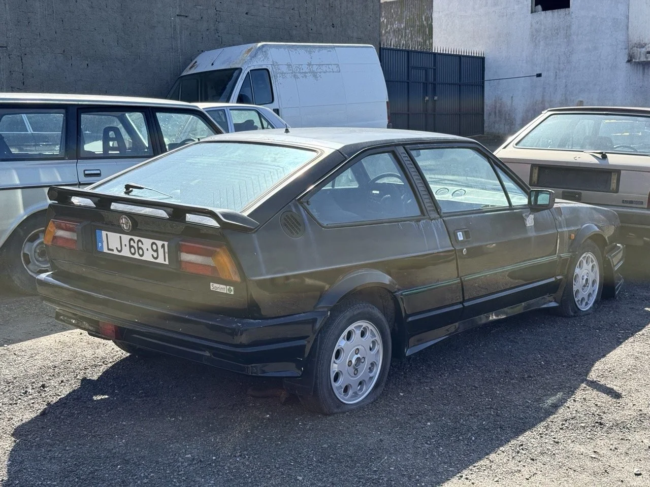 IMG_2892 – grande.jpeg