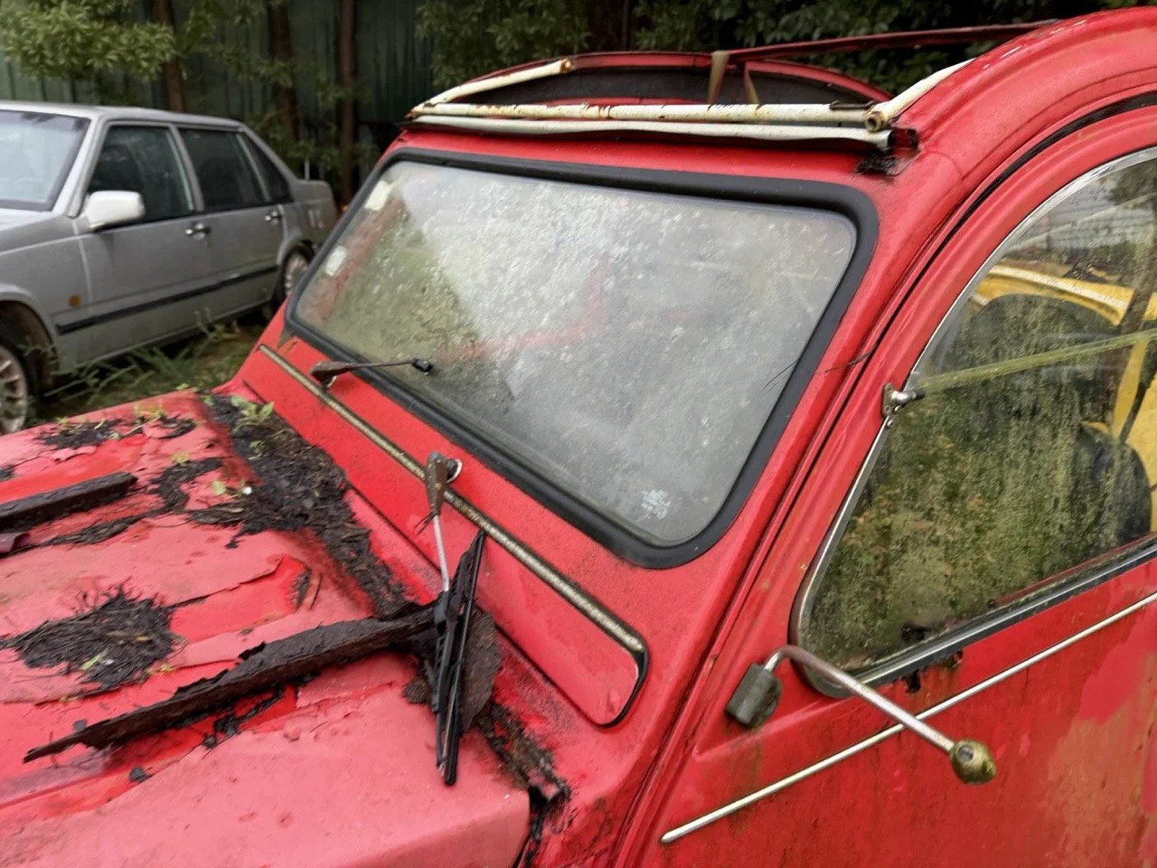 IMG_5490 – grande.jpeg