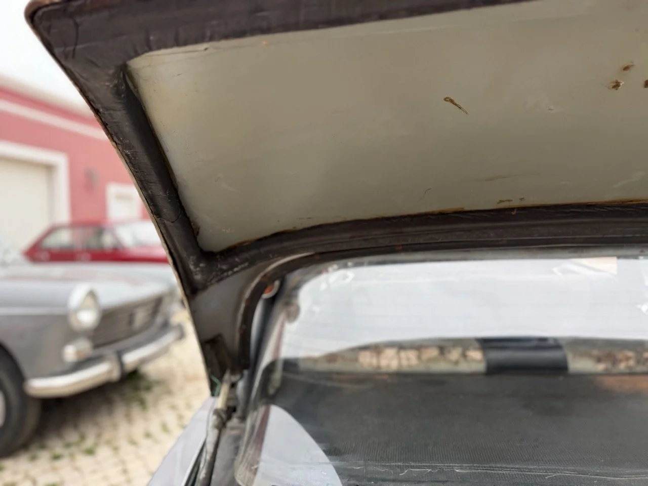 IMG_3714 – grande.jpeg