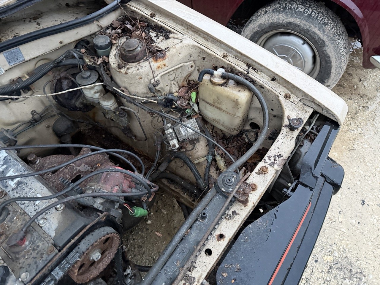 IMG_0241 – grande.jpeg