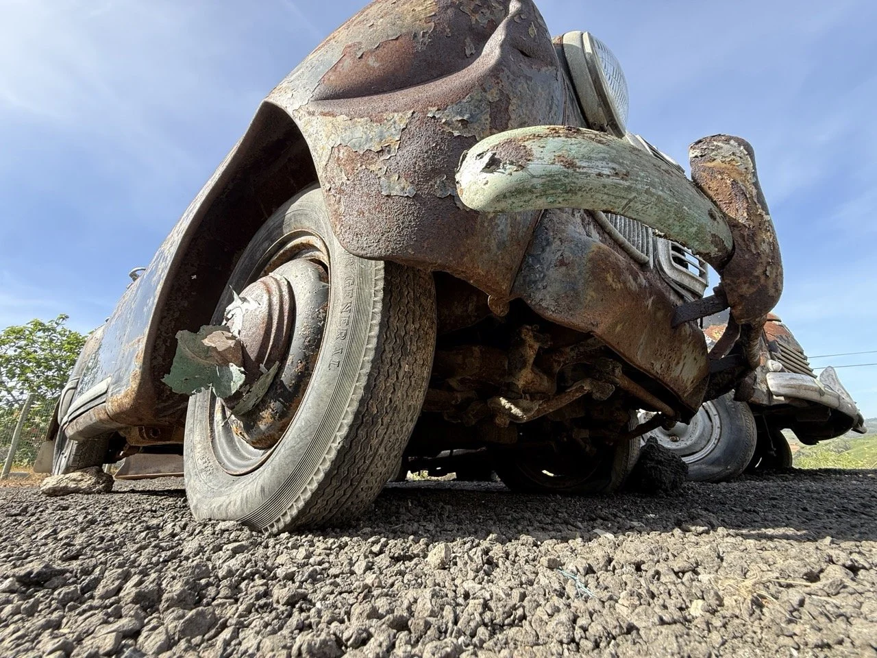 IMG_0446 – grande.jpeg