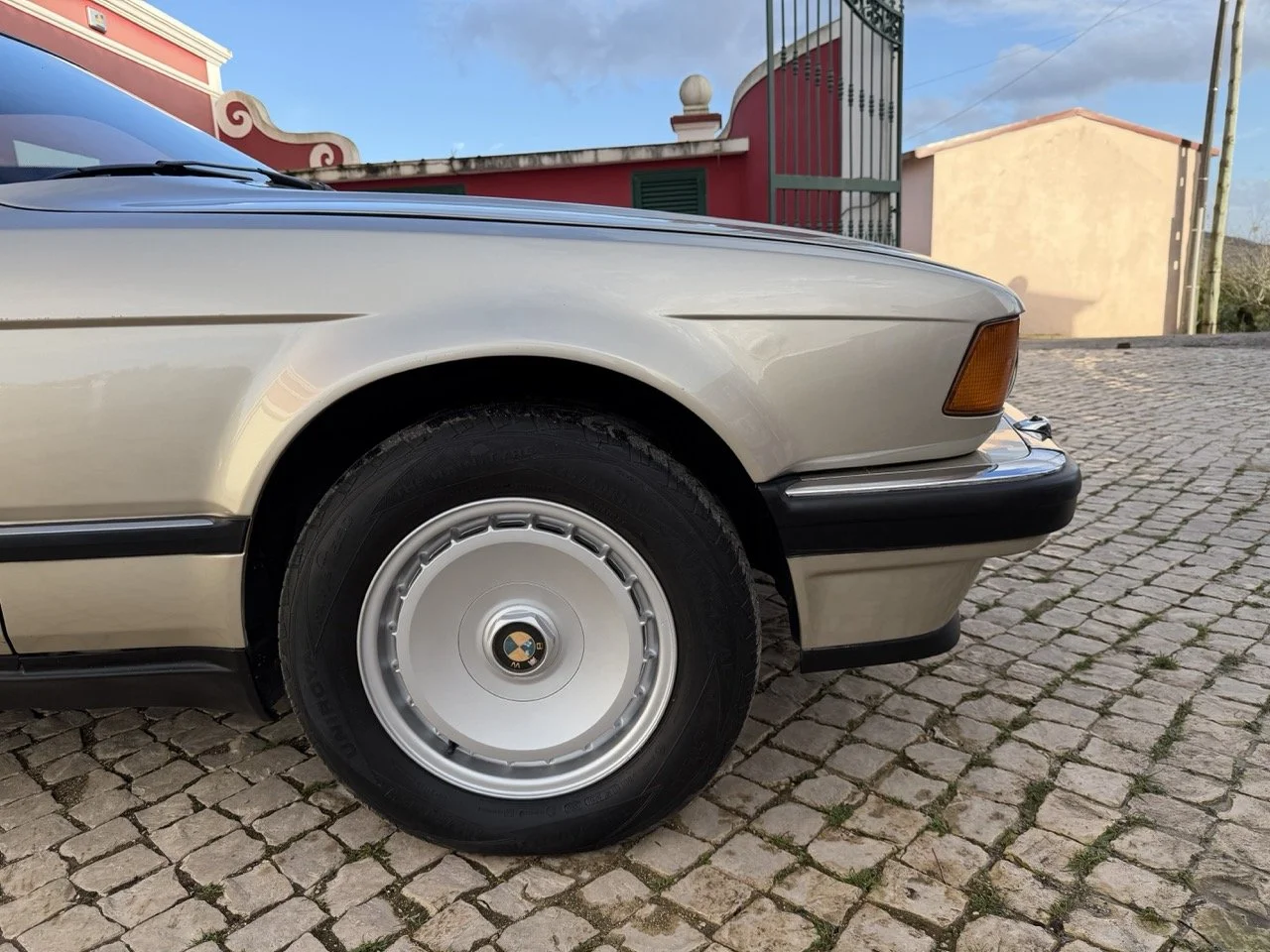 IMG_7009 2 – grande.jpeg