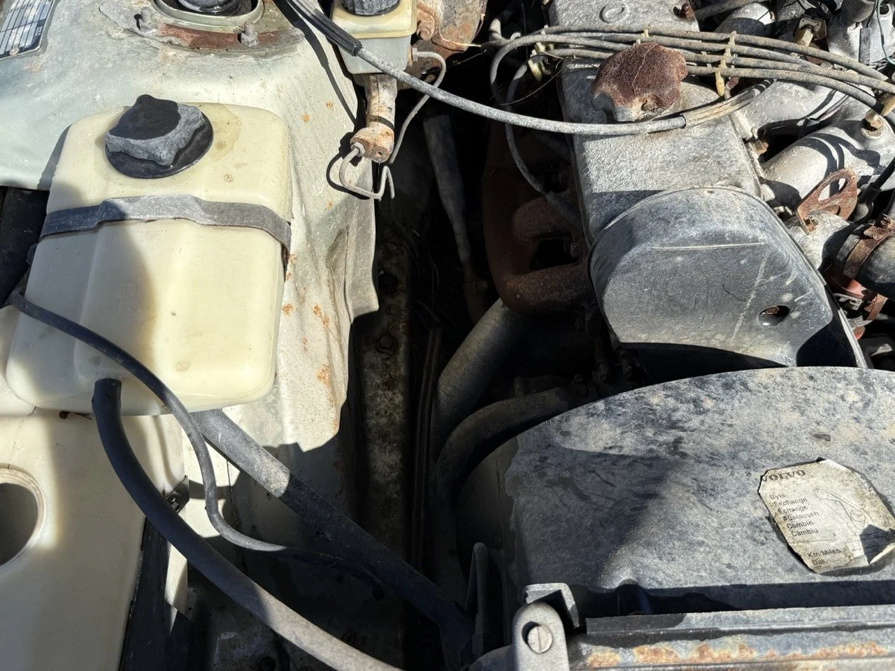 IMG_1168 – grande.jpeg