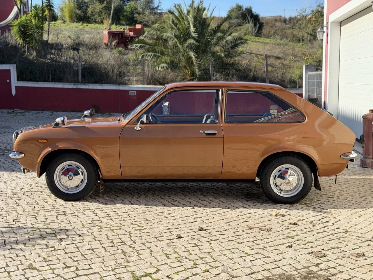 IMG_2334 – grande.jpeg