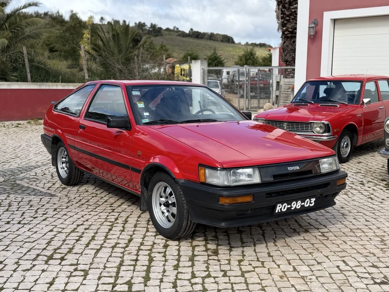 IMG_2260 – grande.jpeg