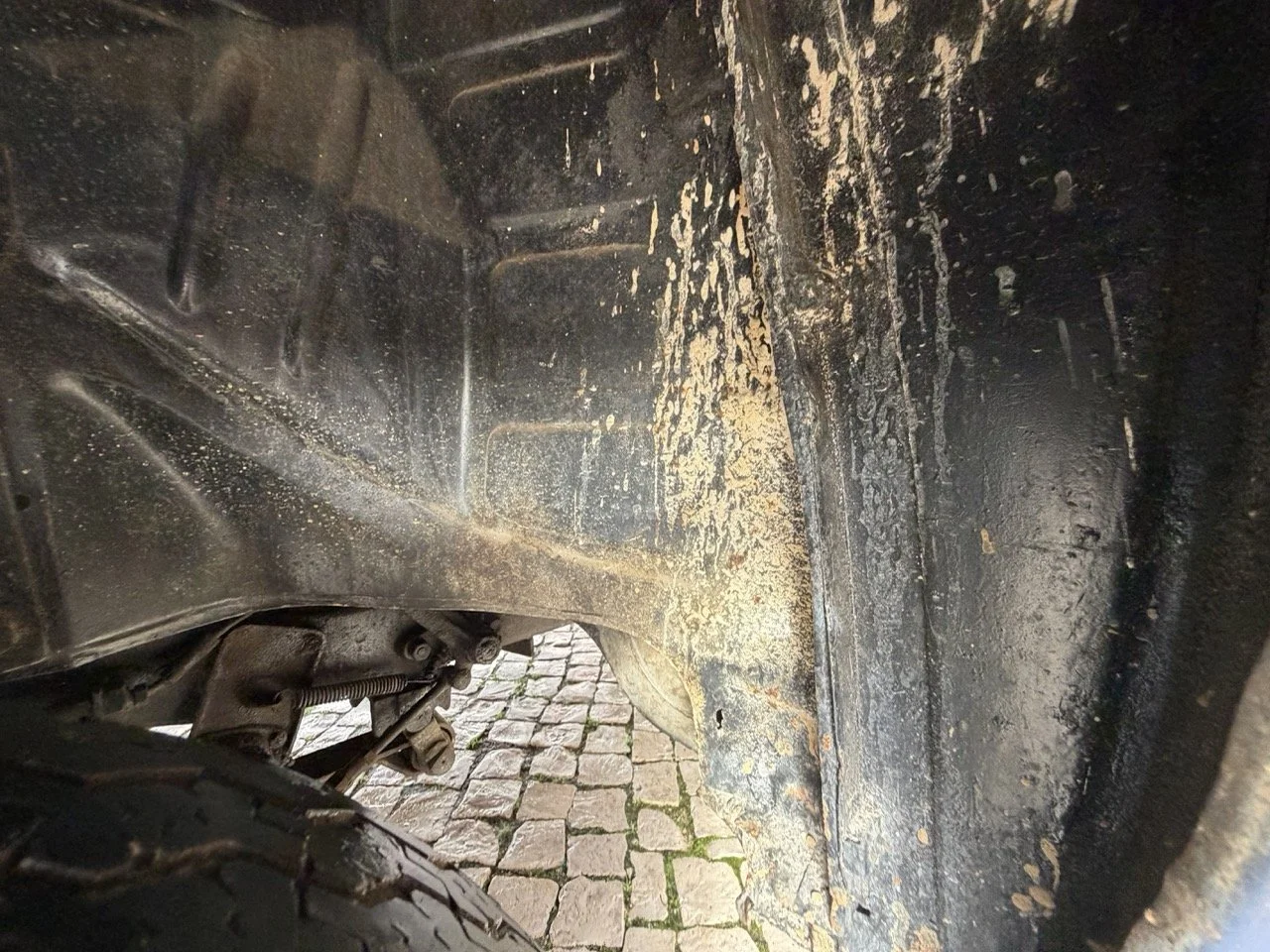 IMG_8144 – grande.jpeg