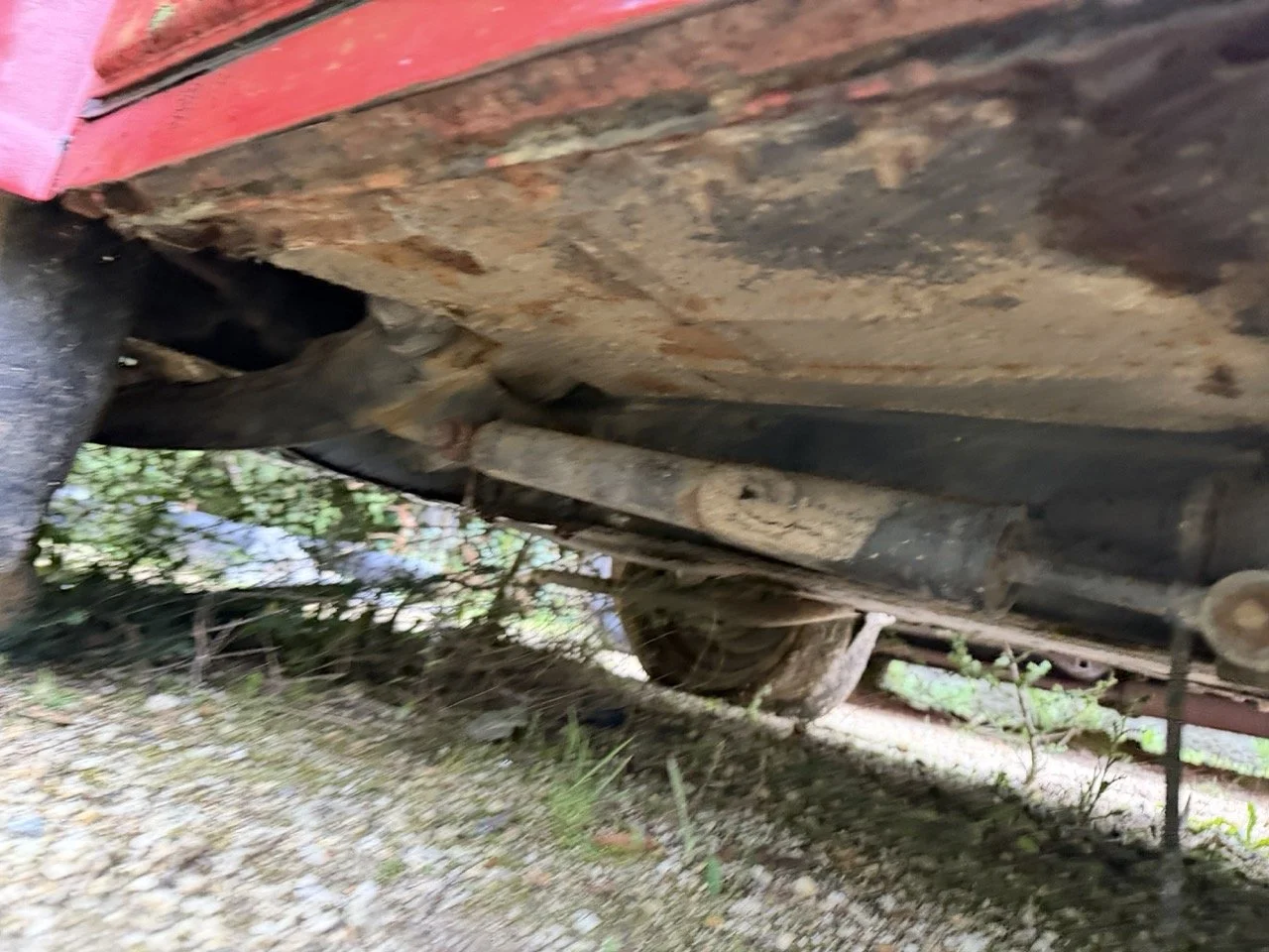 IMG_5519 – grande.jpeg