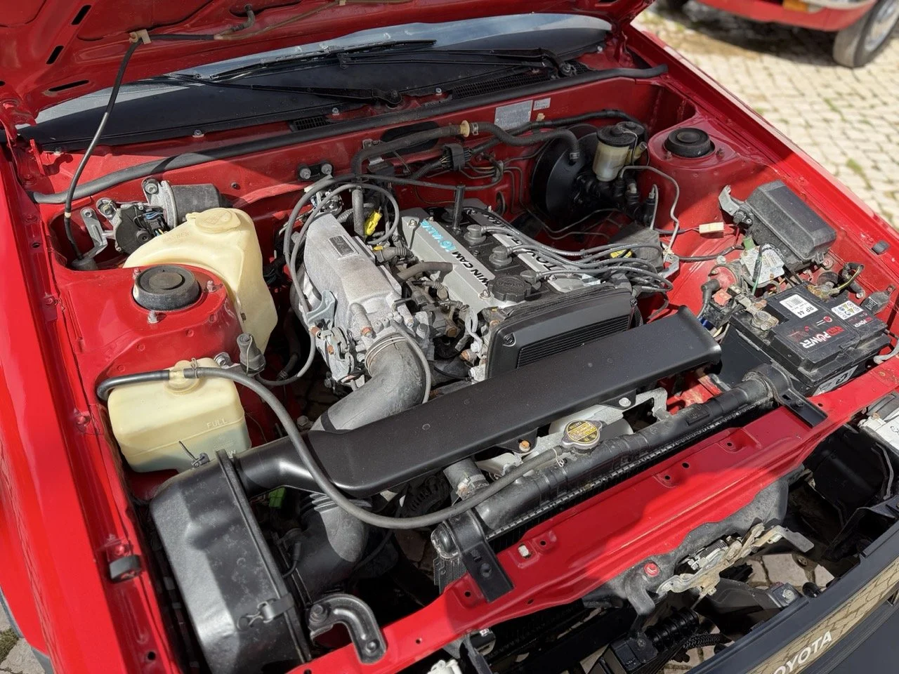 IMG_2347 – grande.jpeg