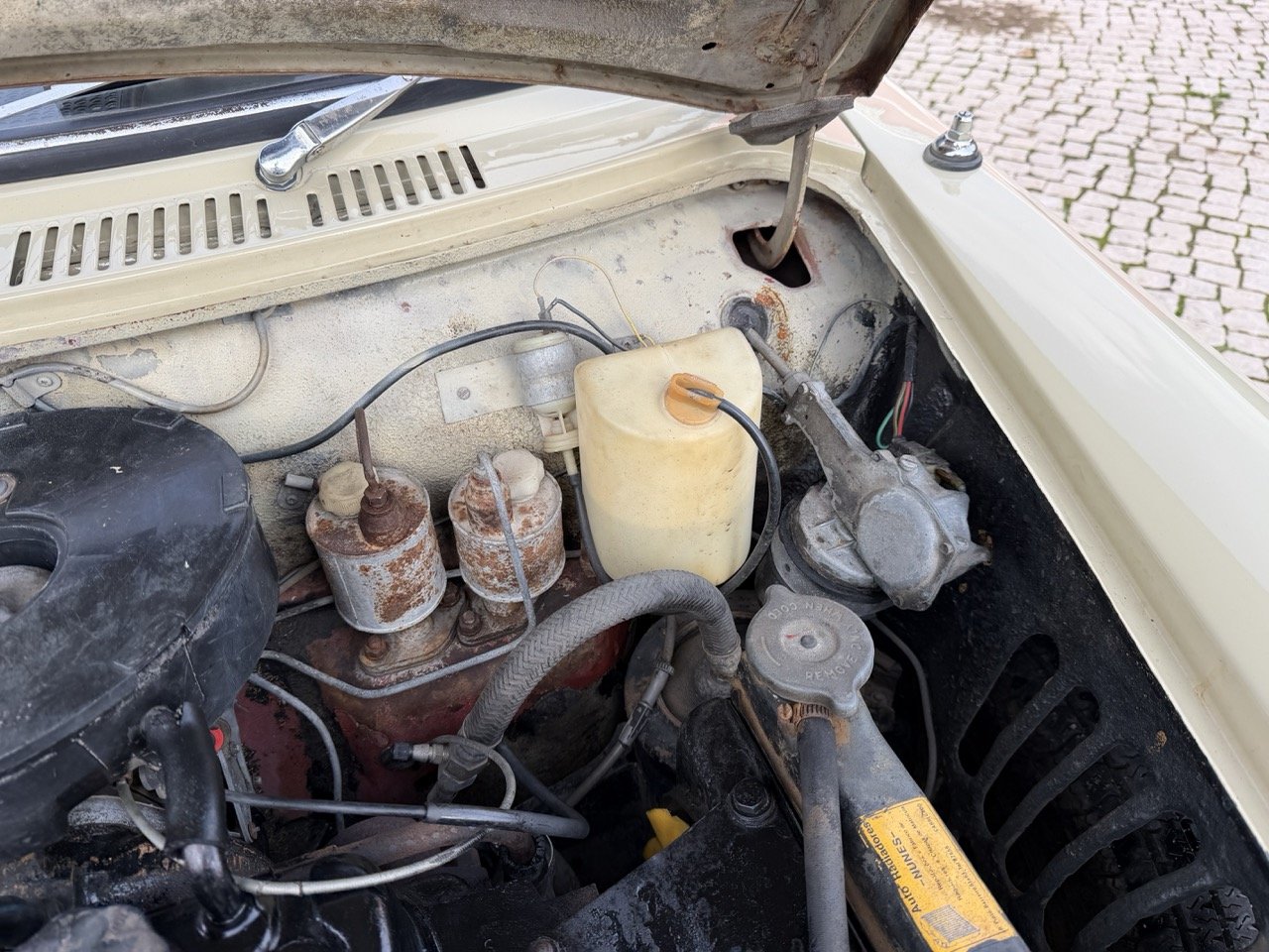 IMG_4068 – grande.jpeg