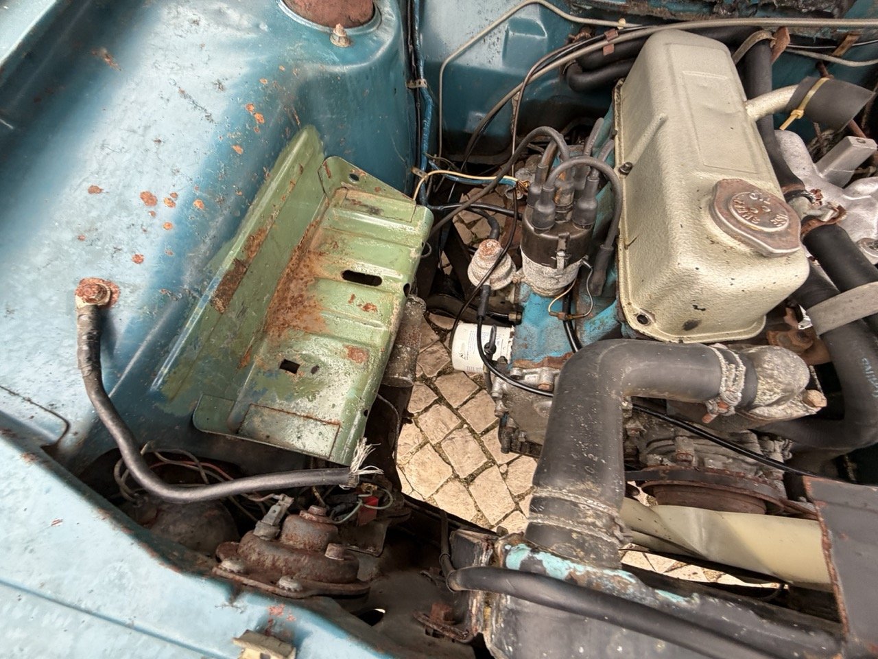 IMG_6303 – grande.jpeg