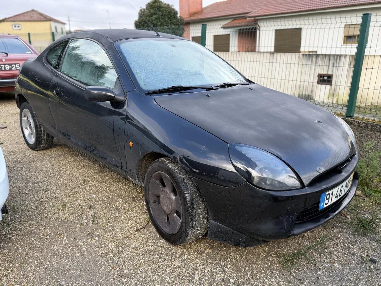 IMG_5291 – grande.jpeg