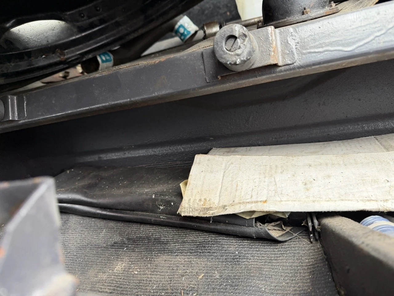 IMG_1866 – grande.jpeg