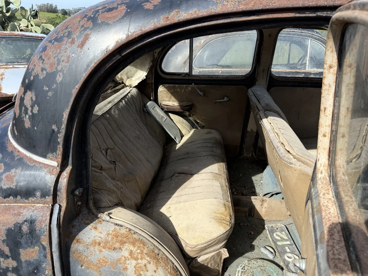 IMG_0440 – grande.jpeg