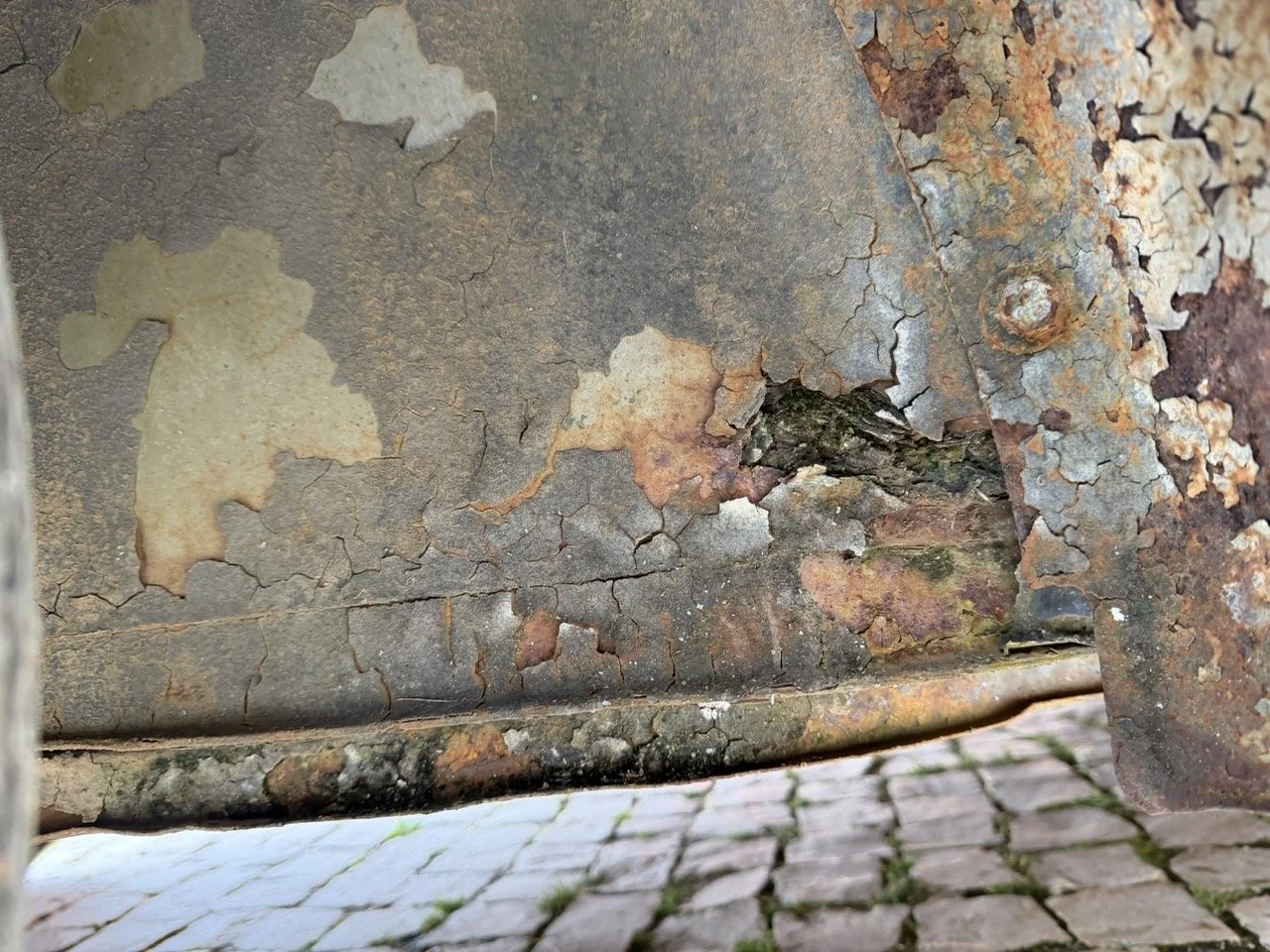 IMG_1238 – grande.jpeg