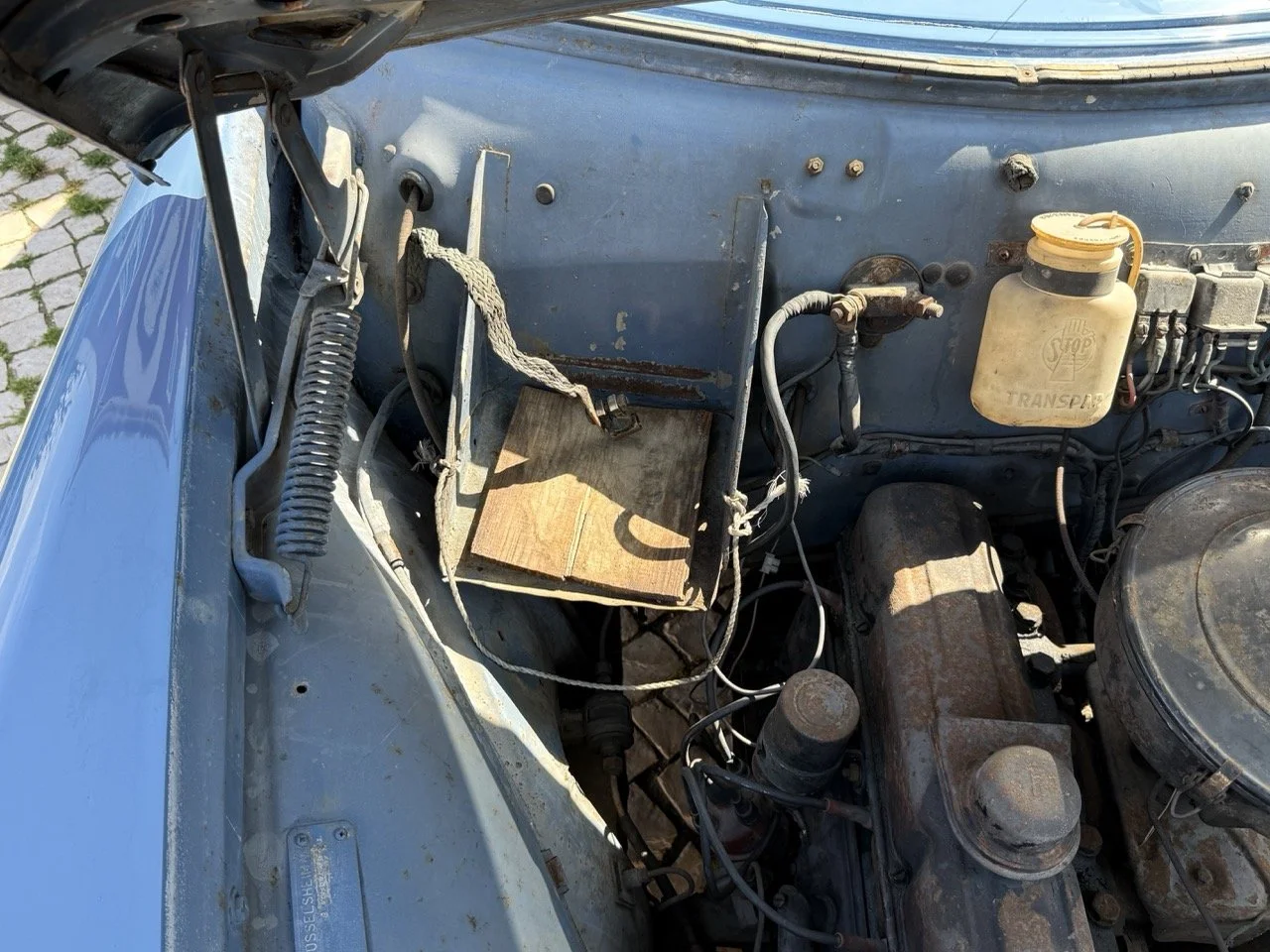 IMG_3518 – grande.jpeg