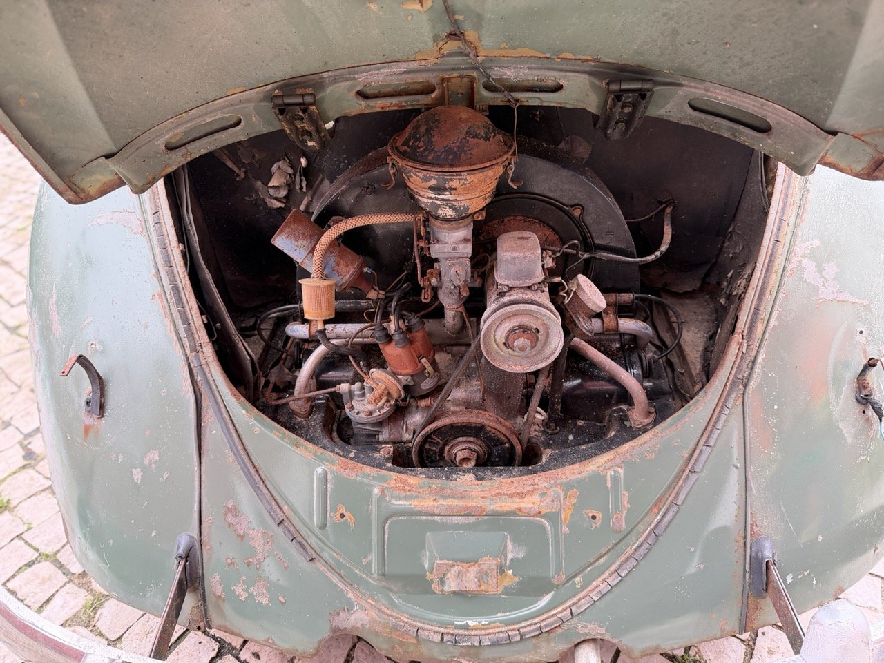 IMG_1158 – grande.jpeg