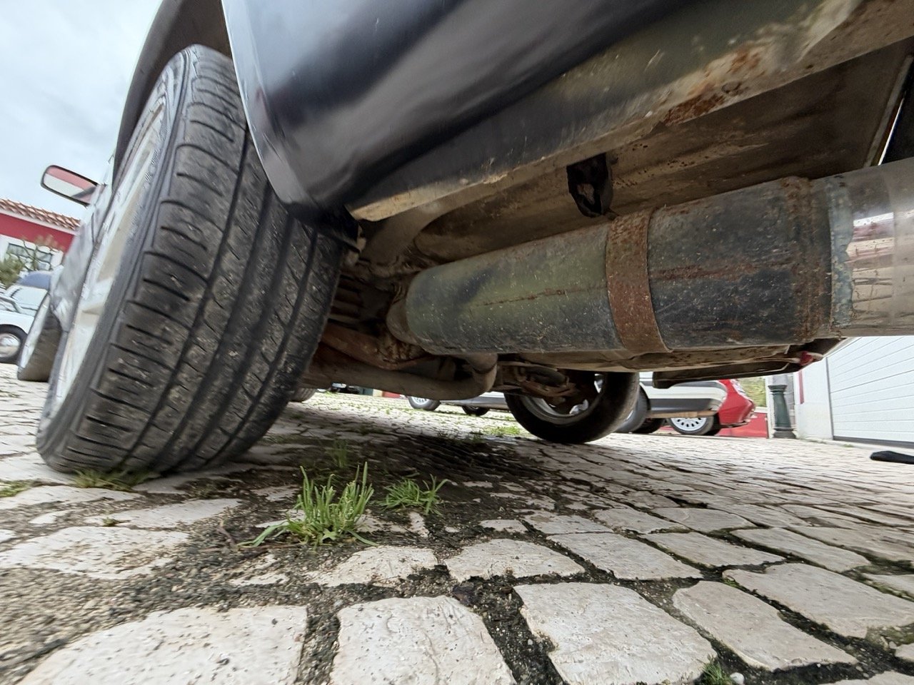 IMG_1330 – grande.jpeg