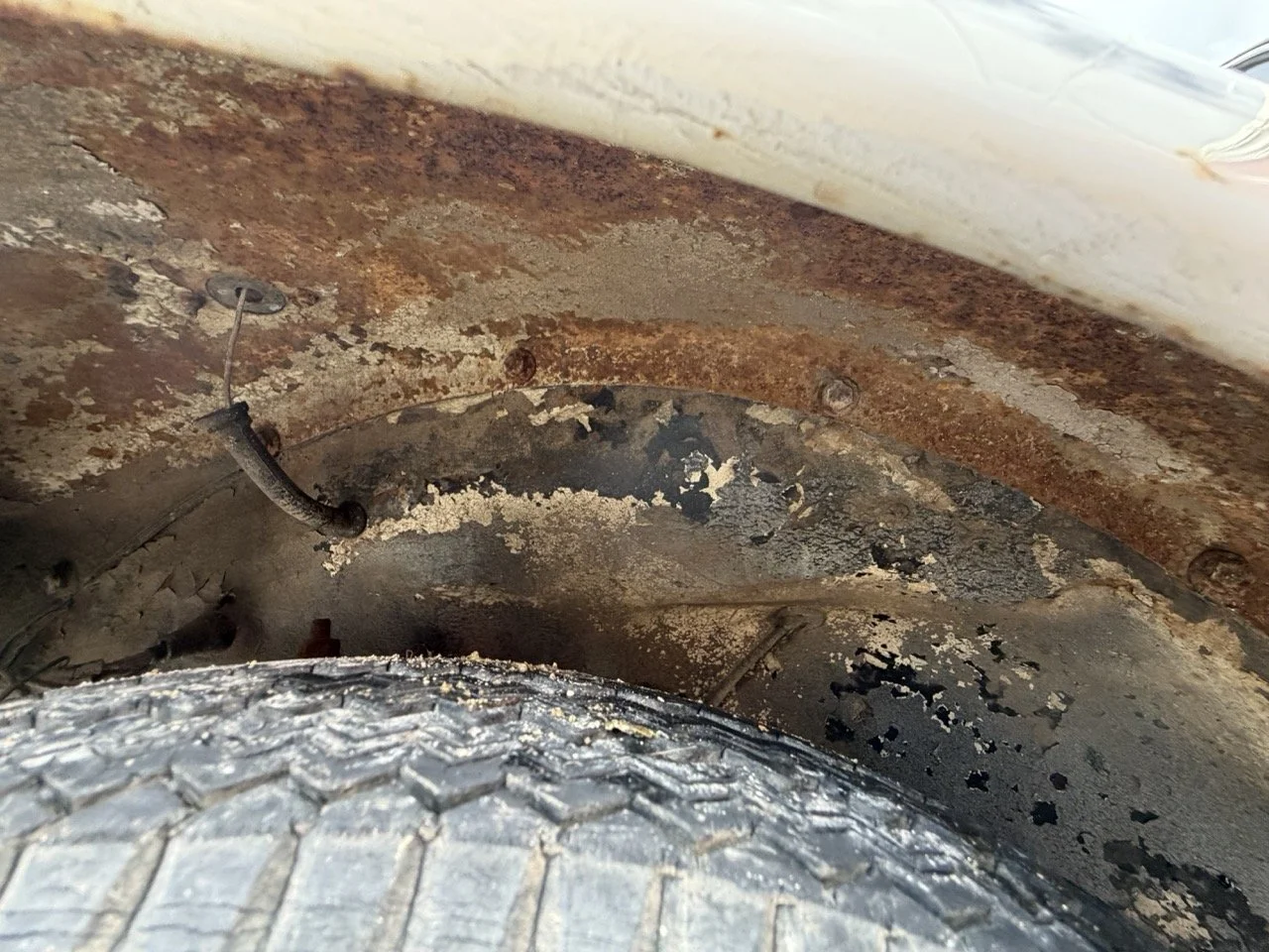 IMG_8683 – grande.jpeg