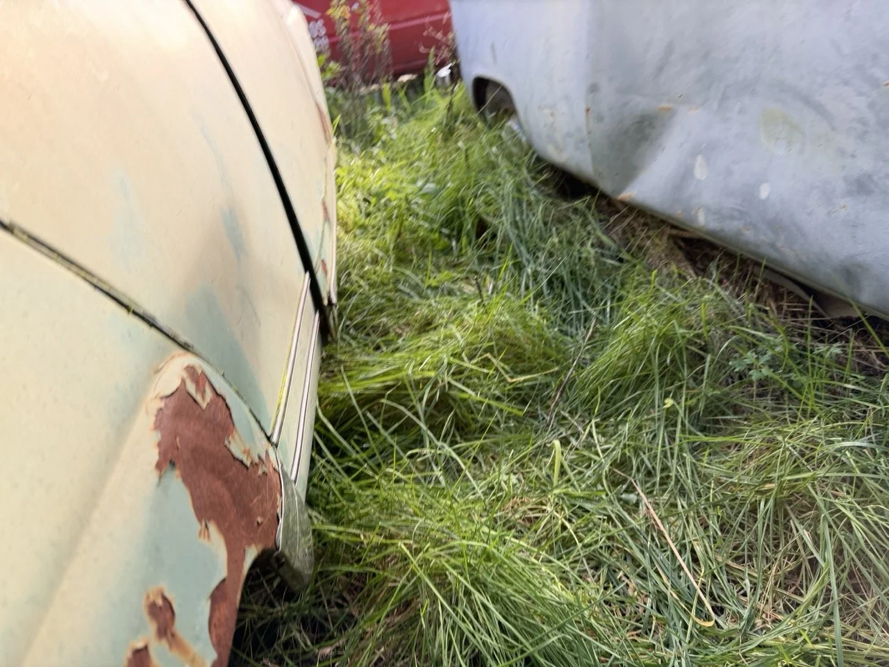 IMG_8561 – grande.jpeg