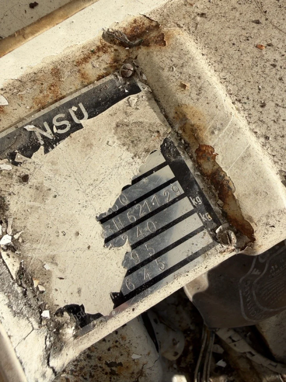 IMG_2544 – grande.jpeg