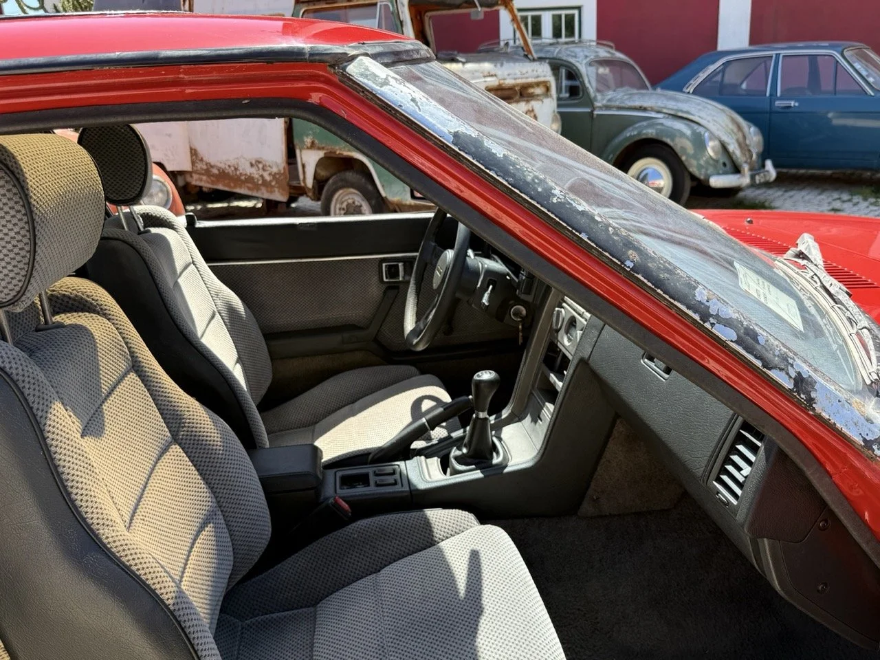 IMG_2065 – grande.jpeg