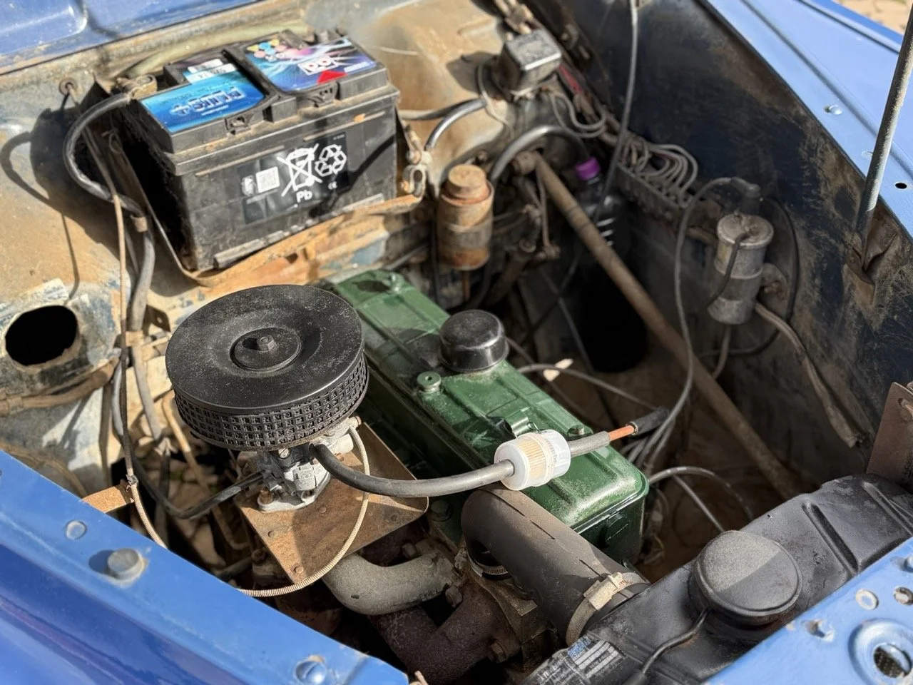 IMG_8116 – grande.jpeg