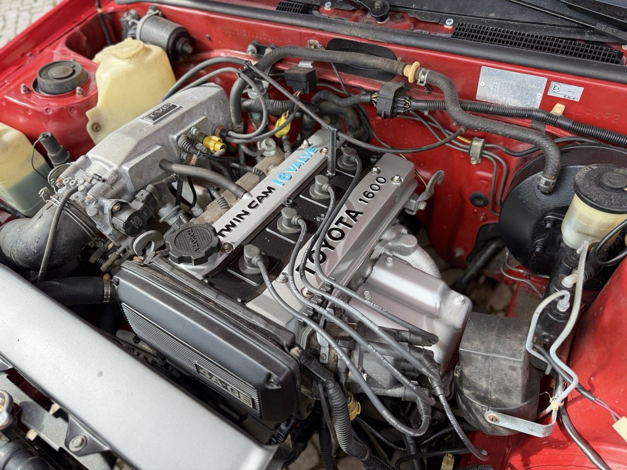 IMG_2351 – grande.jpeg