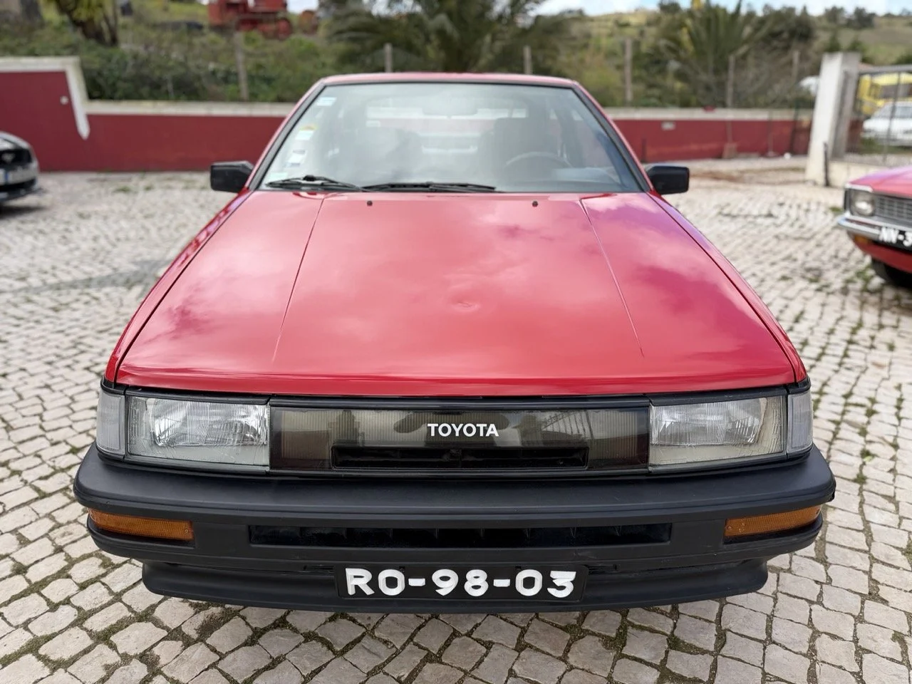 IMG_2413 – grande.jpeg