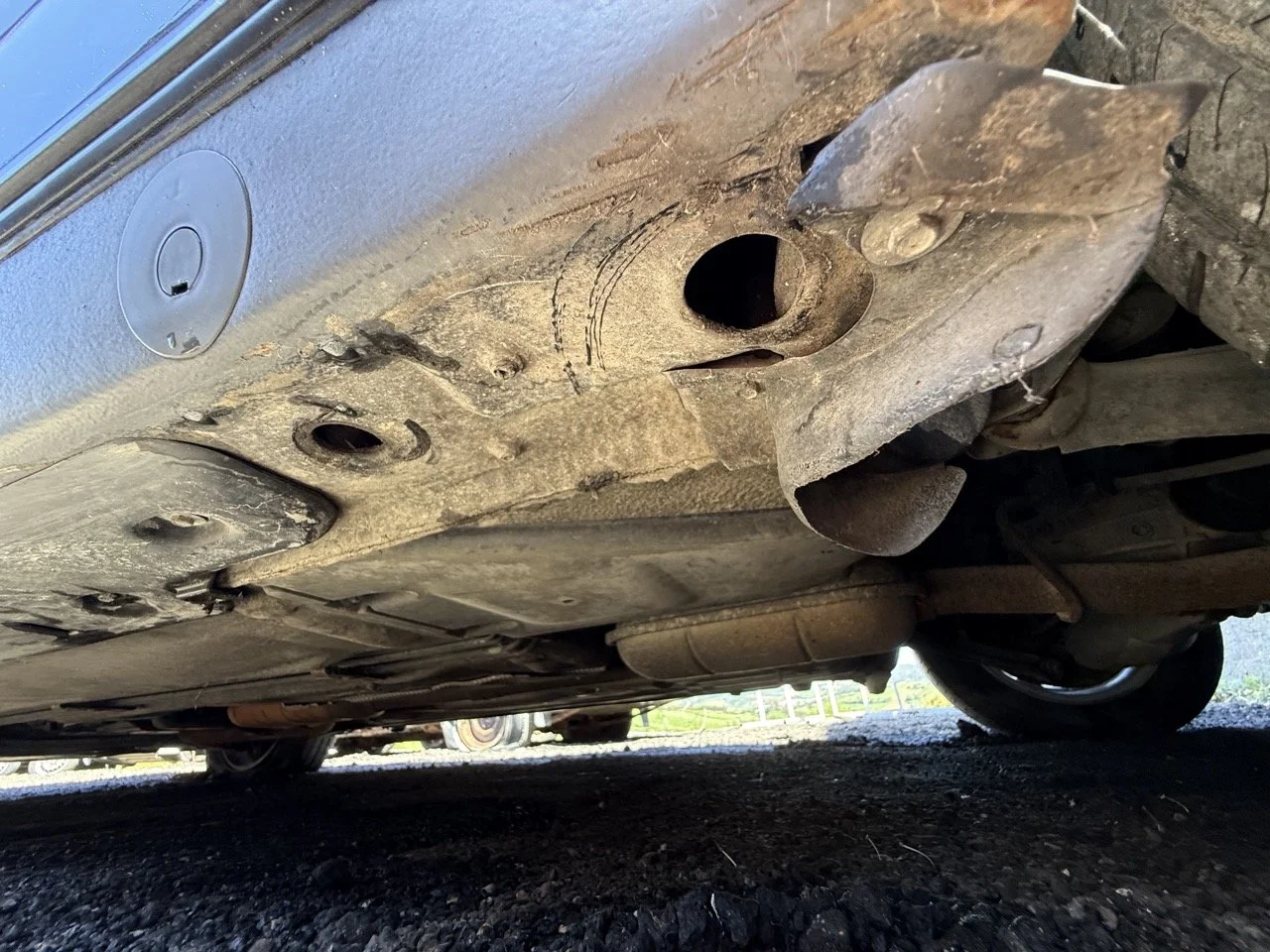 IMG_1799 – grande.jpeg