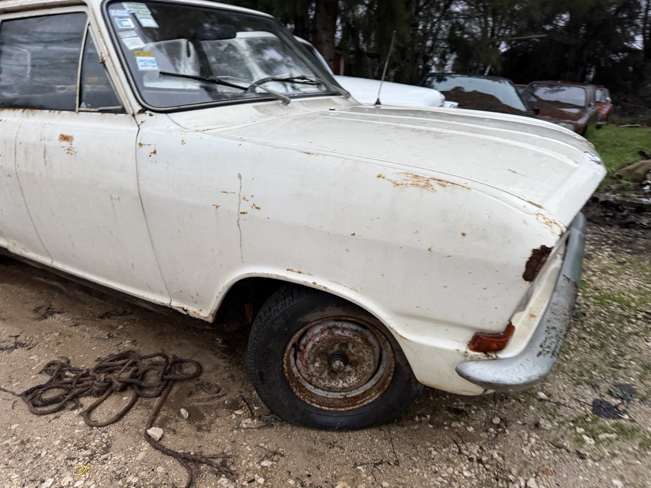 IMG_0123 – grande.jpeg