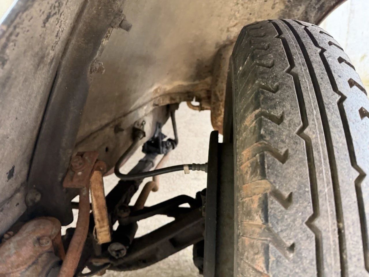 IMG_1660 – grande.jpeg