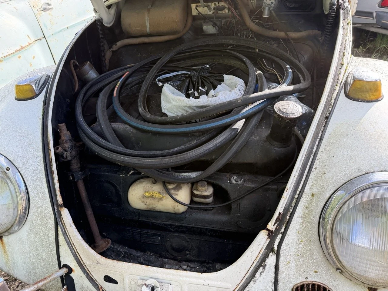 IMG_8608 – grande.jpeg