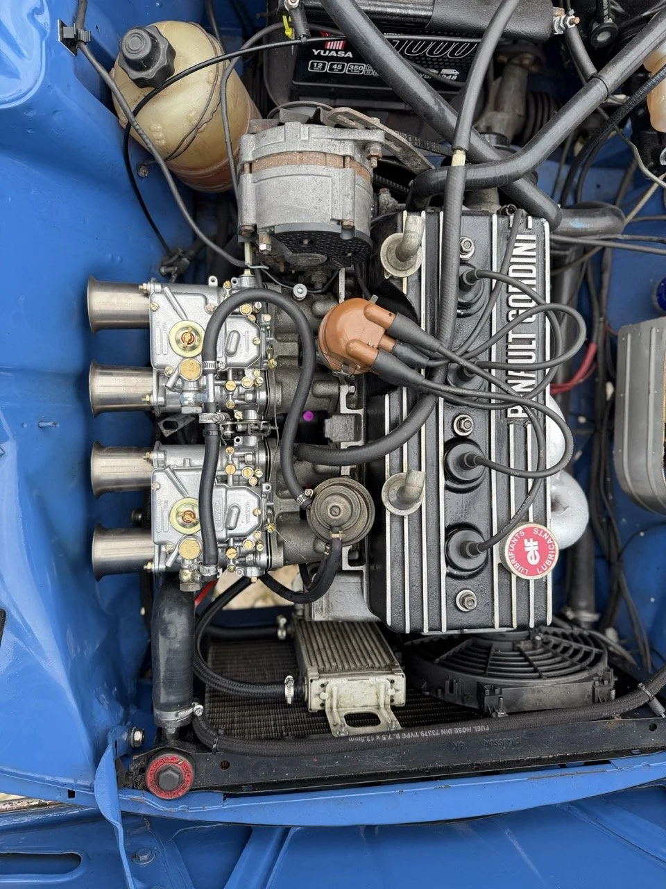 IMG_6036 – grande.jpeg