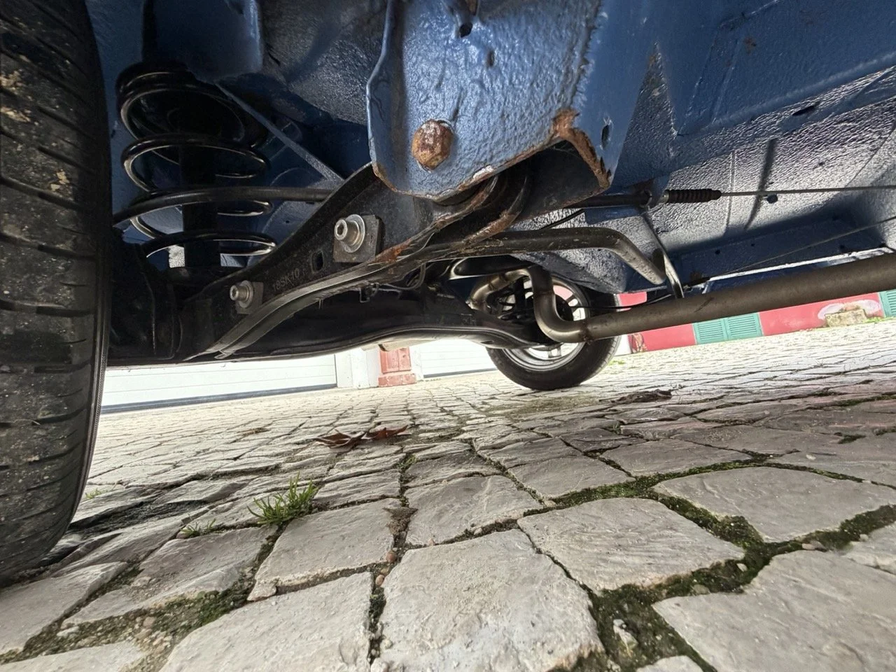 IMG_6129 – grande.jpeg