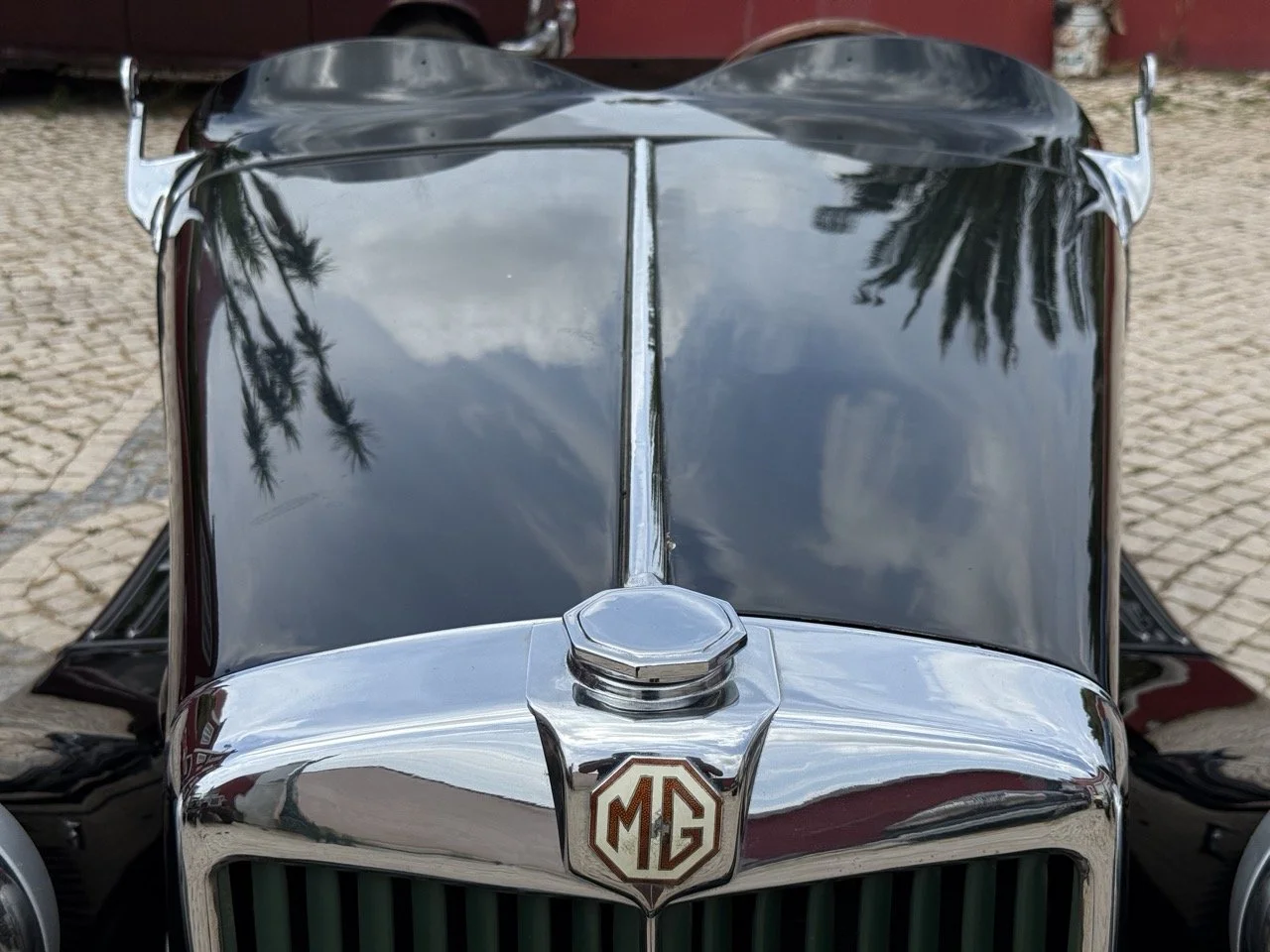 IMG_9742 – grande.jpeg