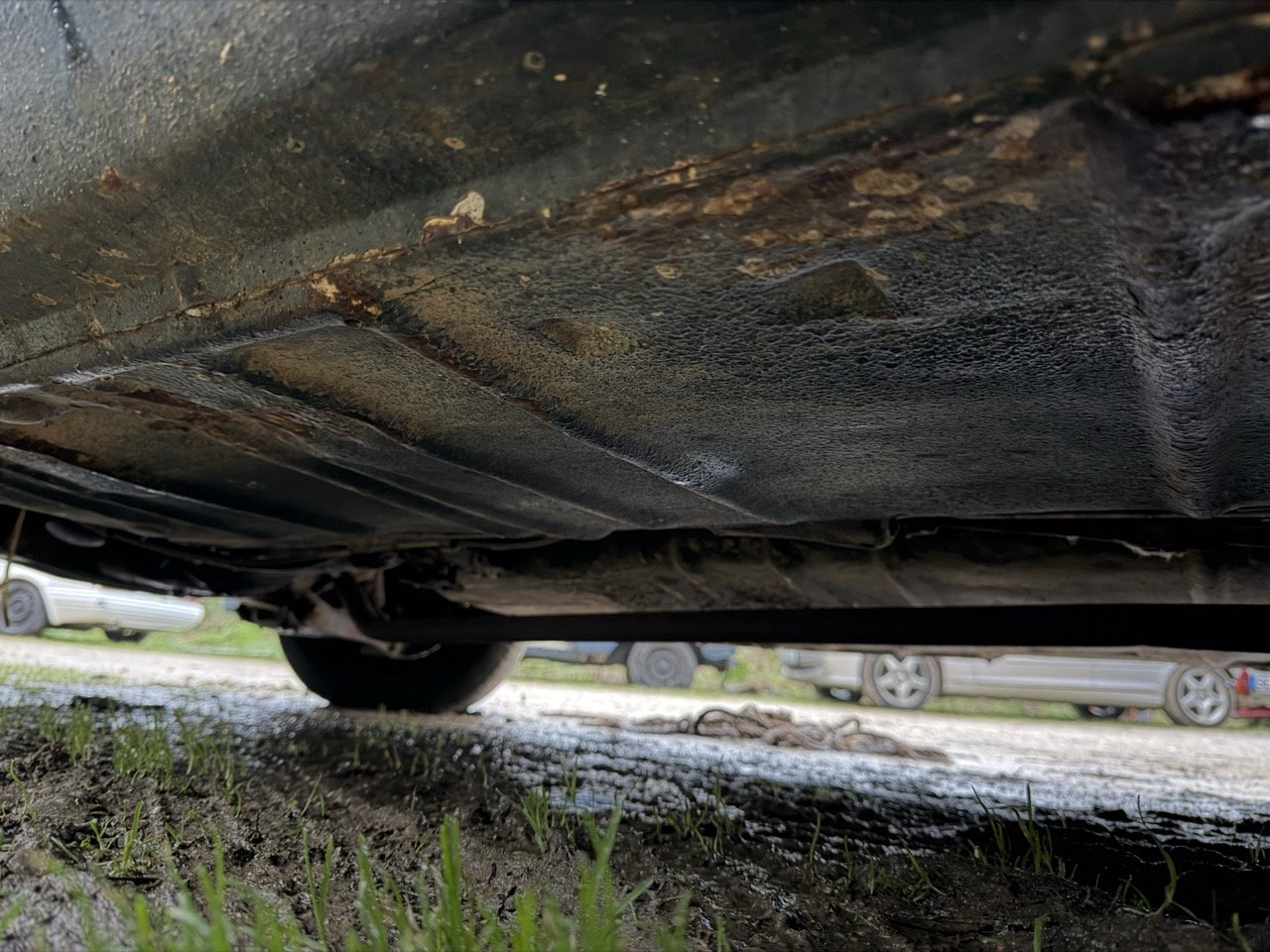 IMG_0153 – grande.jpeg