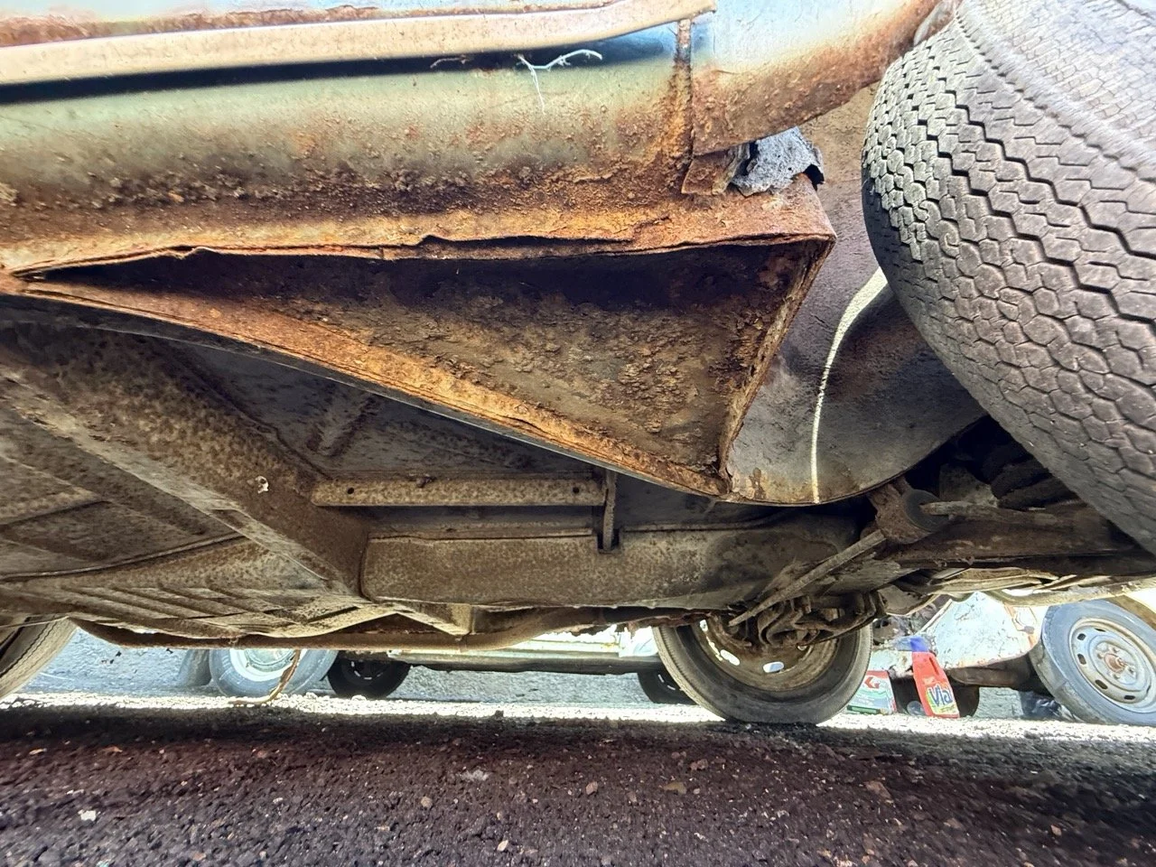 IMG_0895 – grande.jpeg