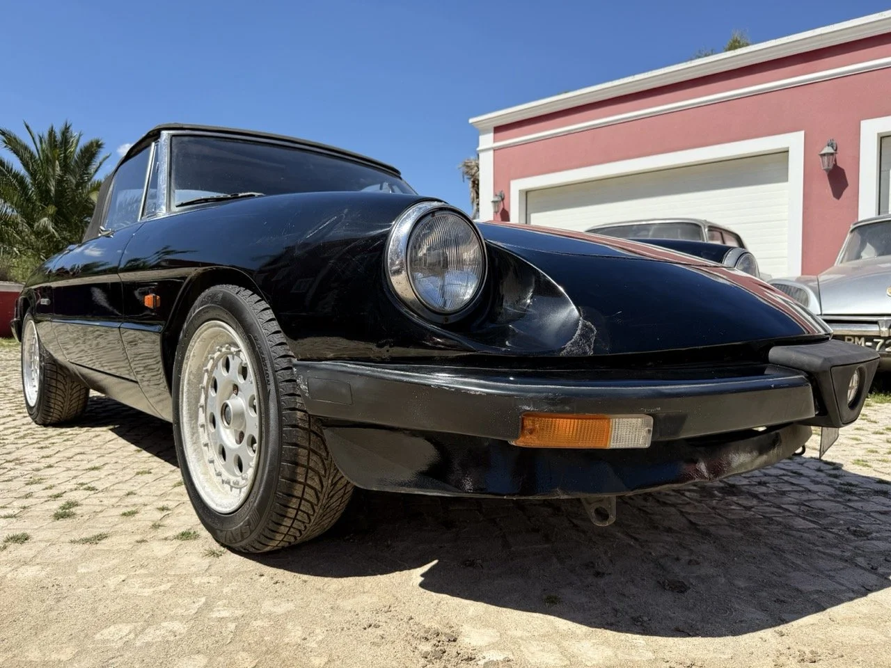 IMG_2157 – grande.jpeg