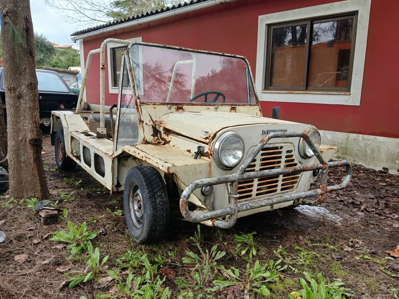 f5f3267a-de07-43b5-905f-9b83584c49e5 – grande.jpeg