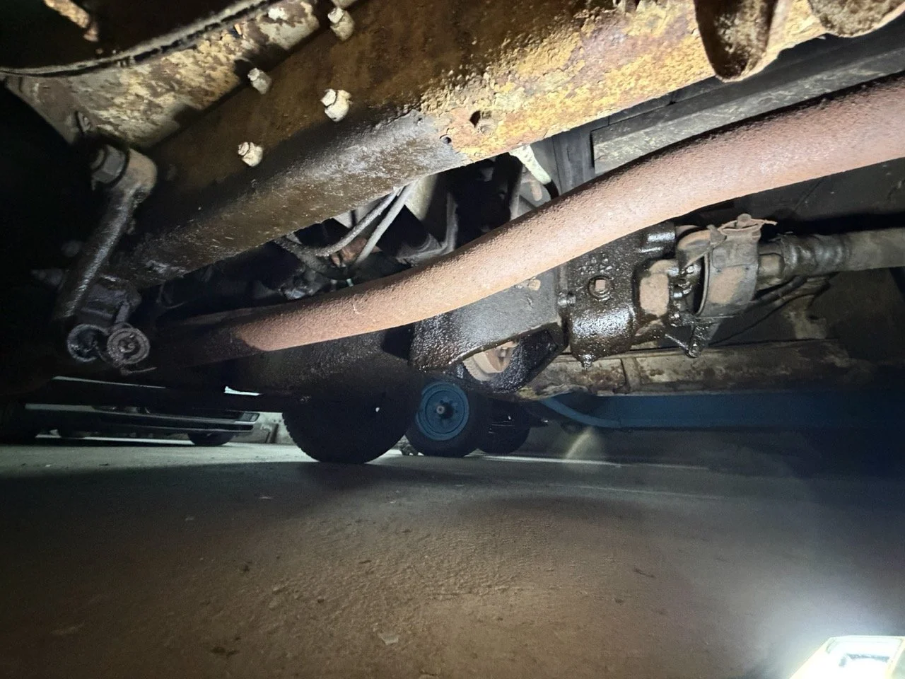 IMG_2499 – grande.jpeg