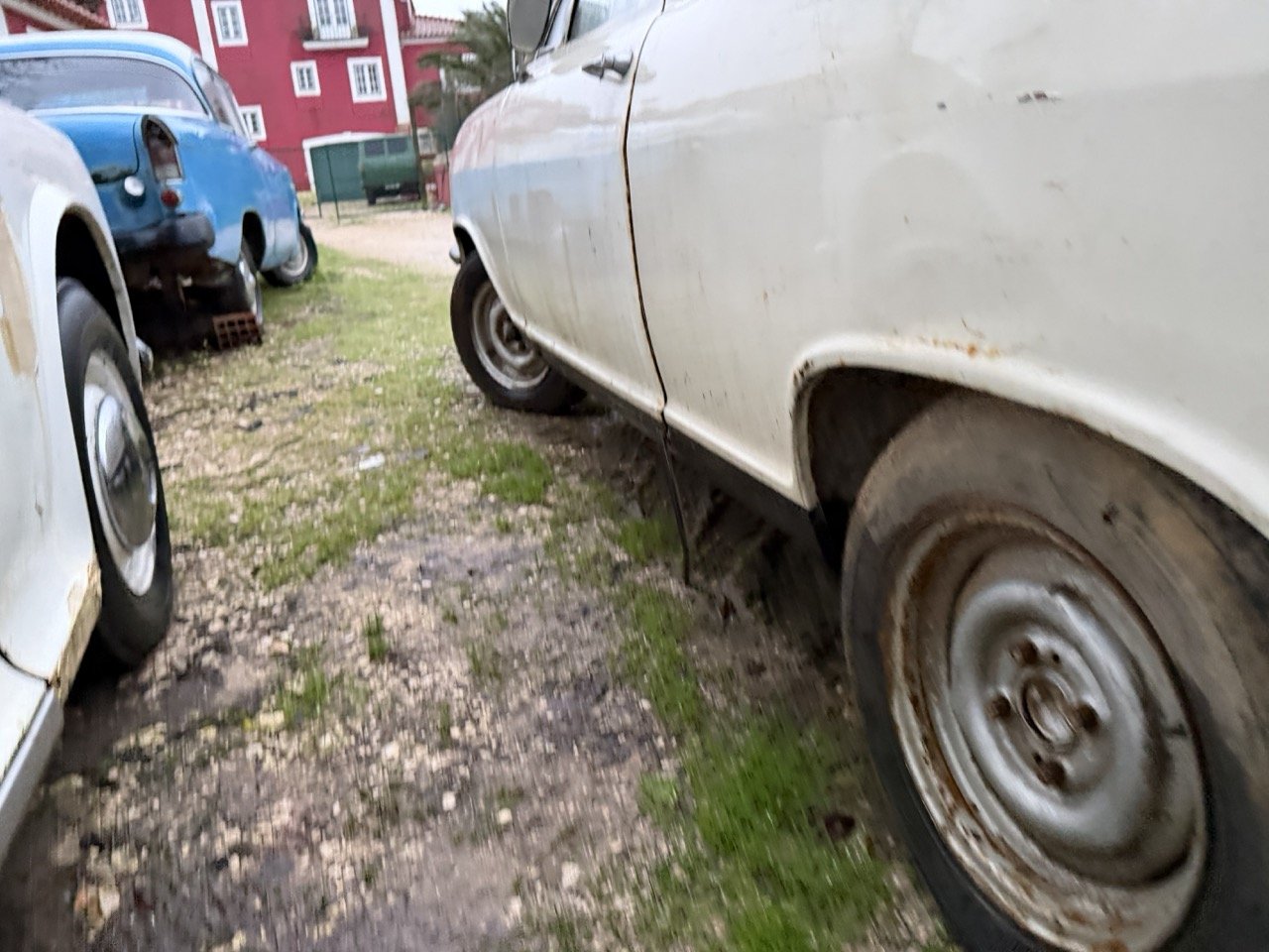 IMG_0151 – grande.jpeg