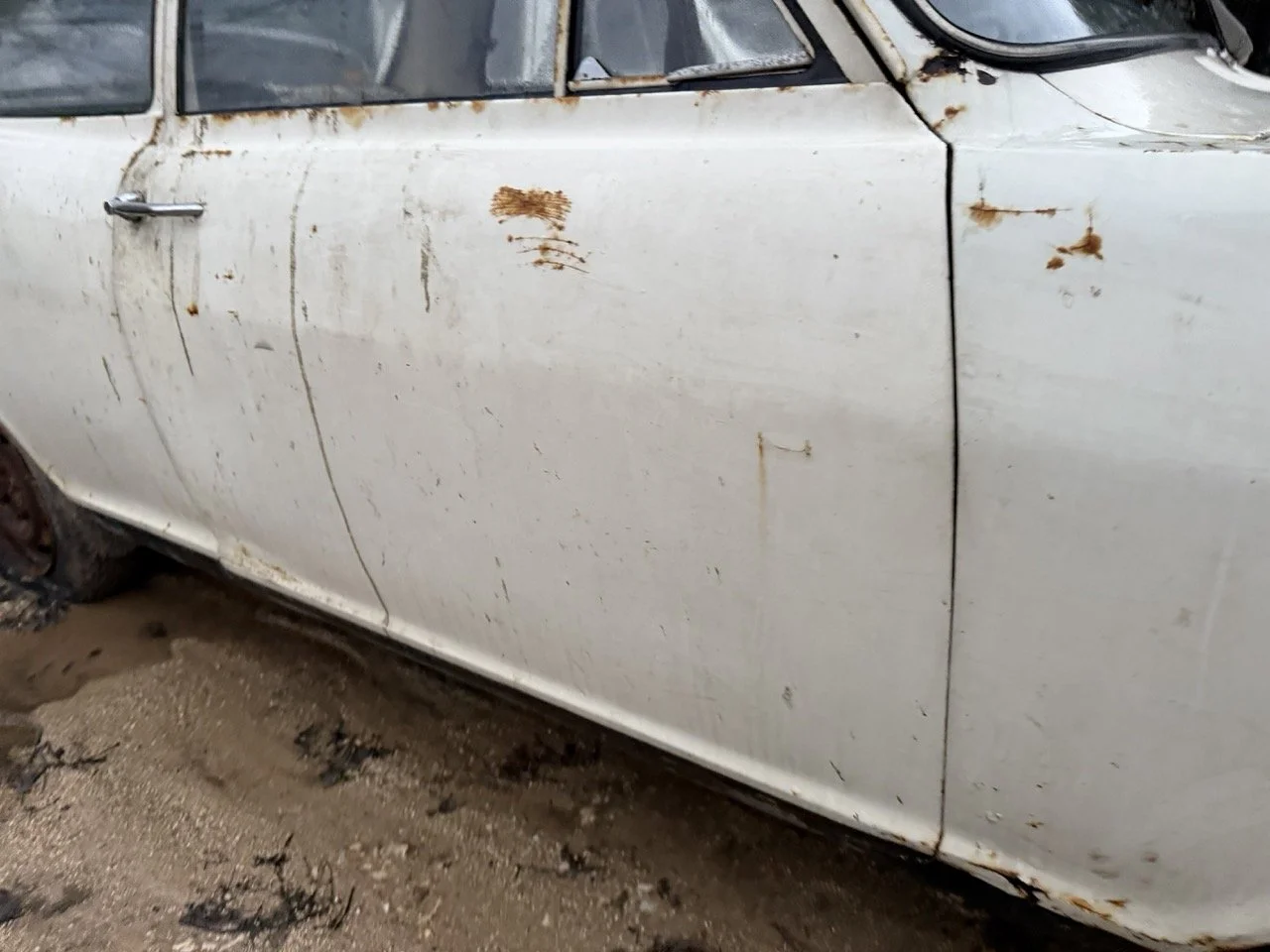 IMG_0128 – grande.jpeg