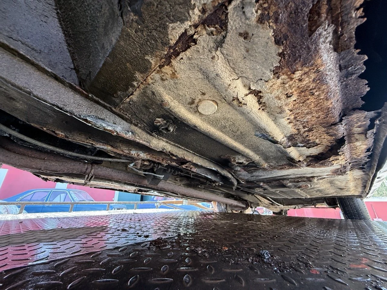 IMG_3487 – grande.jpeg