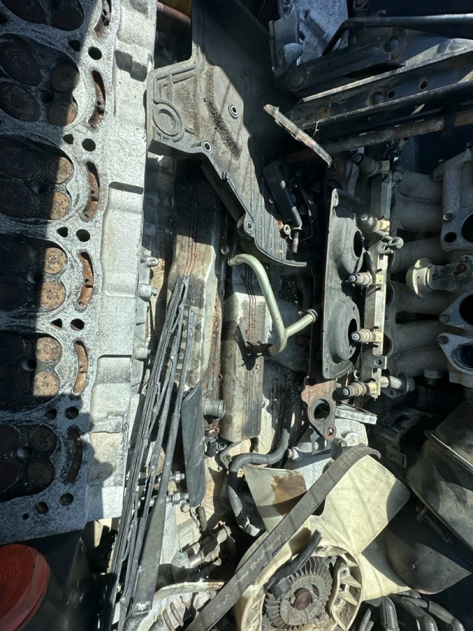 IMG_3089 – grande.jpeg