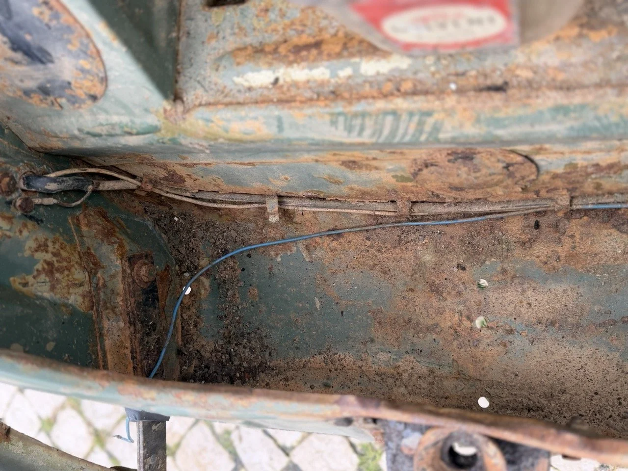 IMG_1183 – grande.jpeg