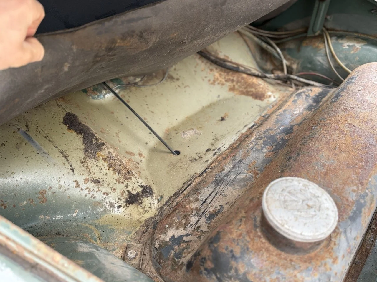 IMG_1172 – grande.jpeg