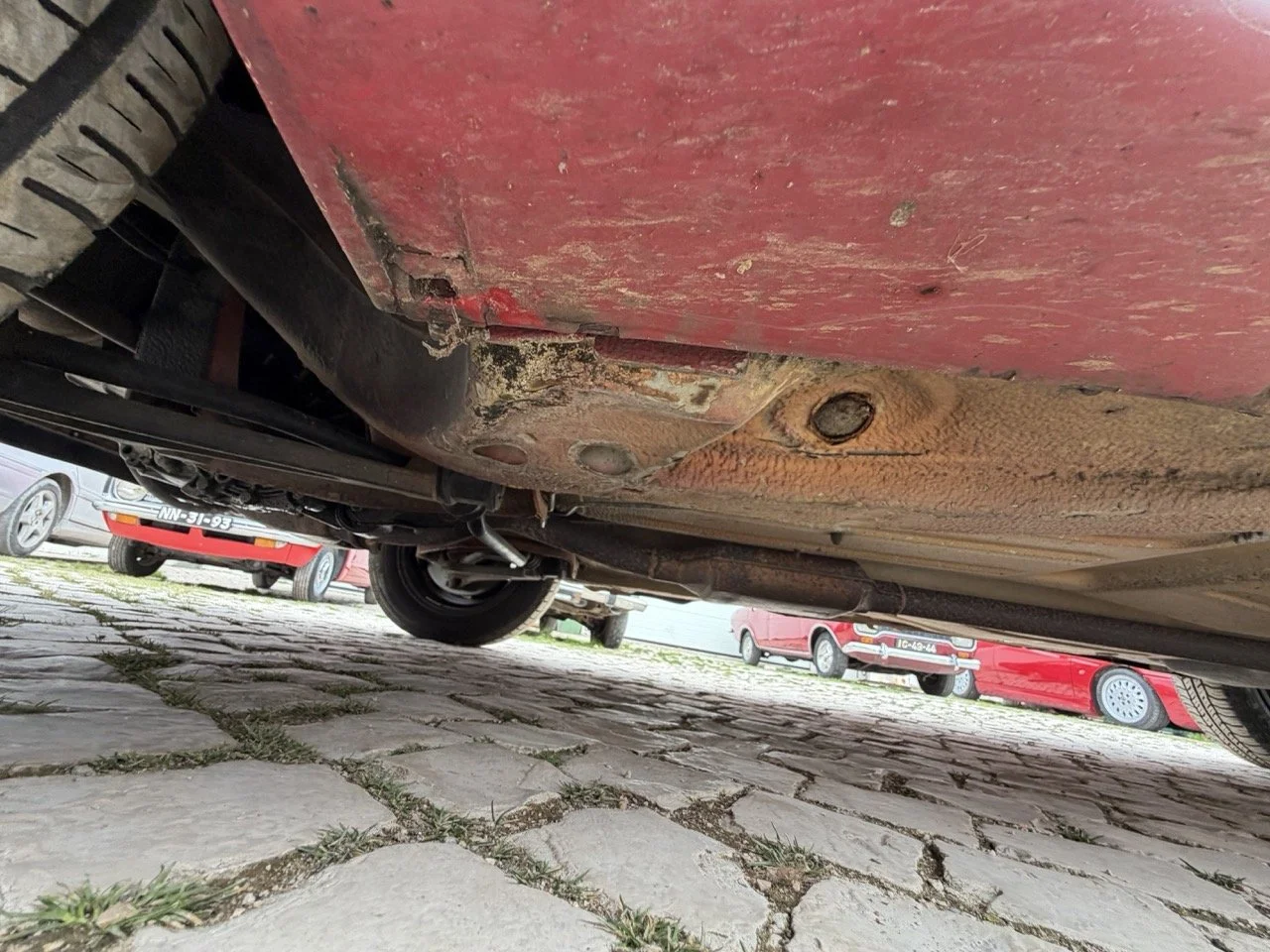 IMG_3651 – grande.jpeg